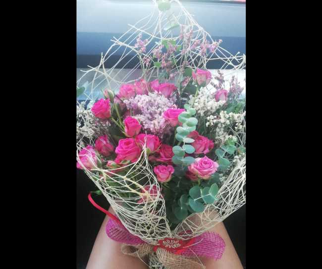 Rosas de Pitiminí