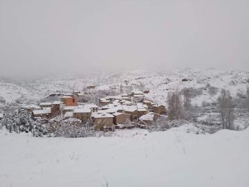 L'orache