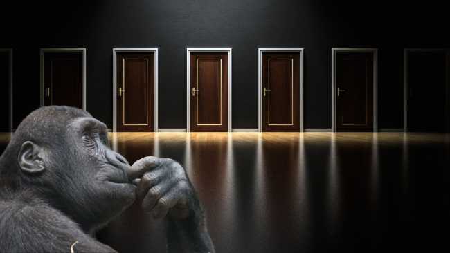Elecciones