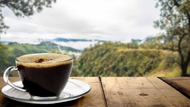 El Café