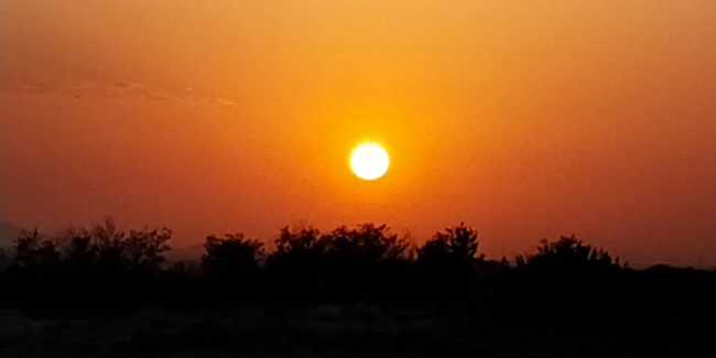 Al sol invicto