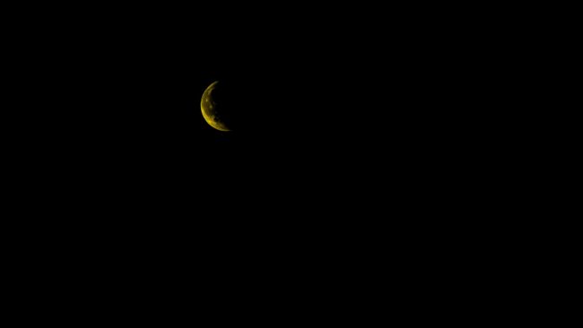 LA NOCHE